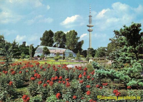 AK Hamburg Planten un Blomen 1968 Zug 7
