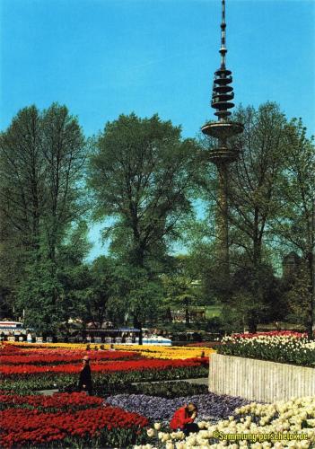 AK Hamburg IGA 1973 Zug 12