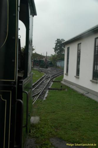 DSC 0142 (1) (1)