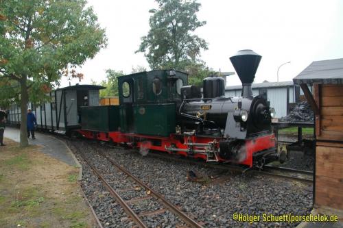 DSC 0149 (1) (1)