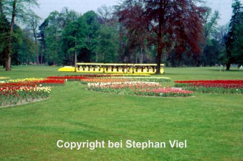 Gelber-Zug auf der Schloßwiese (1) (1)
