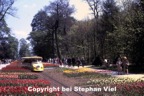 Gelber Zug Richtung Hirschbrunnen (1)