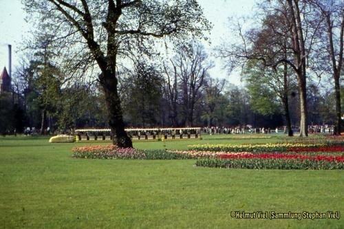 Gelber Zug Schlosswiese-02, Copyright Helmut Viel, Sammlung Stephan Viel01 (1) (1) (1) (1)