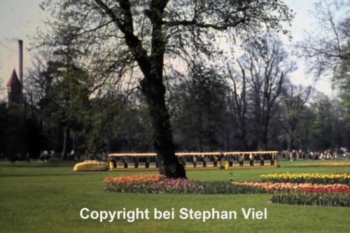 Gelber Zug auf der Schloßwiese (1)