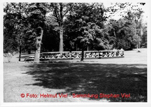 Roter Zug Einfahrt Bf, Copyright Helmut Viel, Sammlung Stephan Viel01